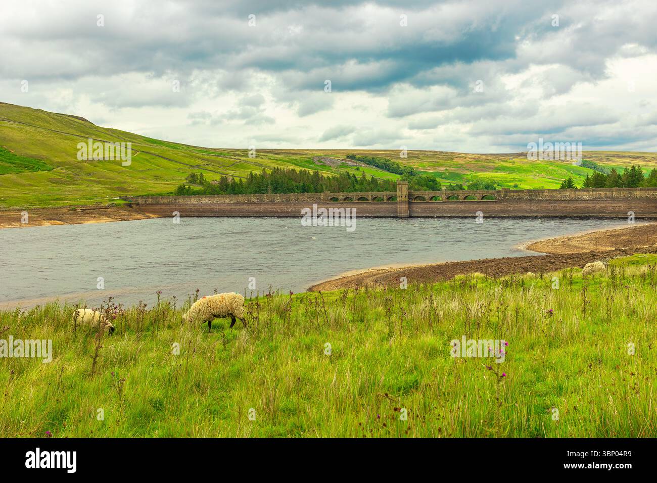 SCAR House Reservoir im Sommer mit sehr niedrigen Wasserständen nach monatelanger Niederschlagsfreiheit. Upper Nidderdale, North Yorkshire, Großbritannien. Horizont Stockfoto