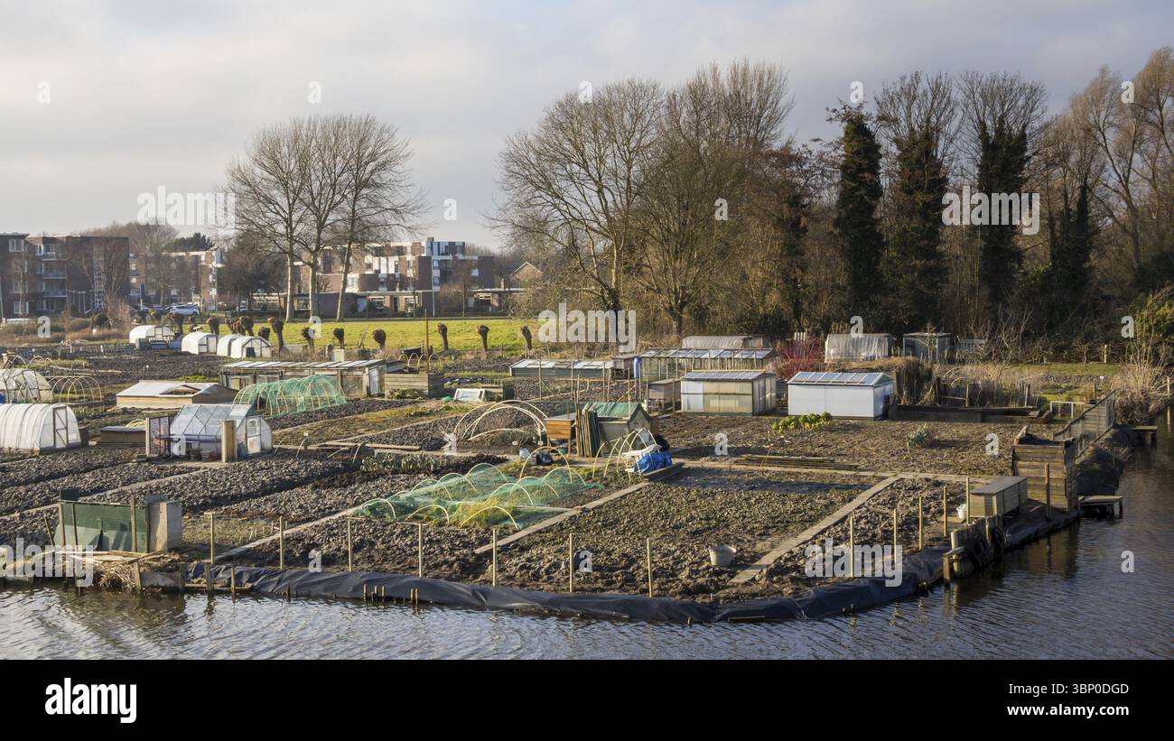 Stadtgärtnerei in der Stadt Enkhuizen Niederlande Stockfoto