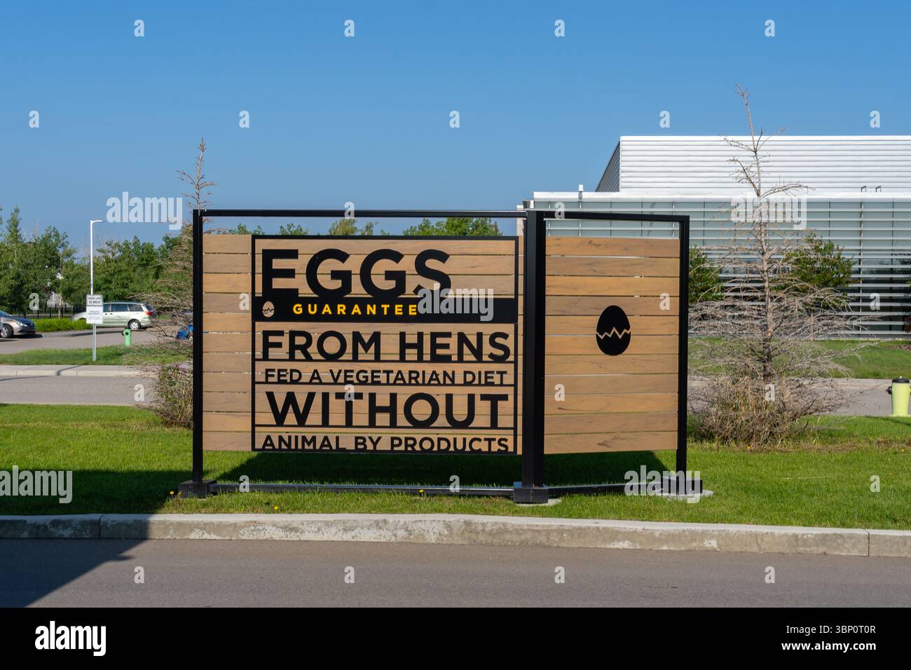 Ein Schild vor einem A- und W-Restaurant mit der Aufschrift „Eigarantie von Hühnern, die eine vegetarische Ernährung ohne tierische Nebenprodukte erhalten“. Calgary, Alberta, Kanada Stockfoto