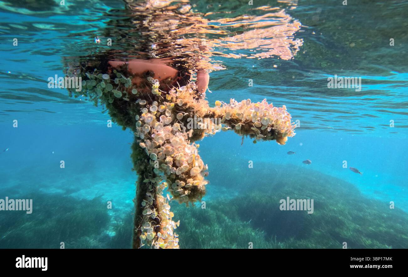 Ein Bild zeigt eine Boje unter Wasser, die mit einer korallenbedeckten Struktur interagiert, und zeigt die Schönheit der Meereslebewesen und die Auswirkungen des Ökosystems des Ozeans Stockfoto