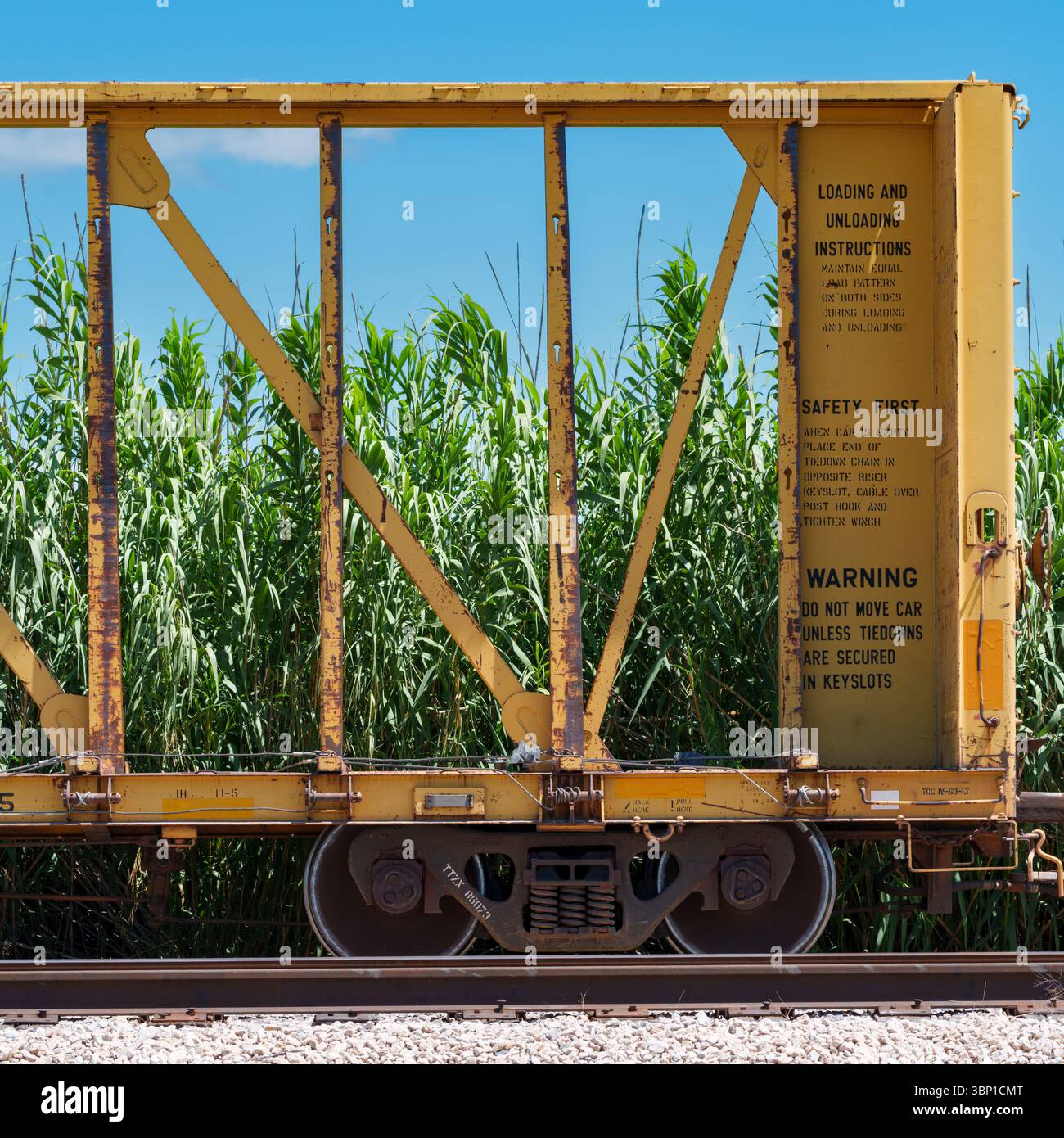 Ende des gelben Mittelbalkenwagens, der an einem sonnigen Sommernachmittag in Texas im Leerlauf auf einem Bahngleis sitzt, mit invasivem Riesenschild, das auf der Strecke wächst. Stockfoto