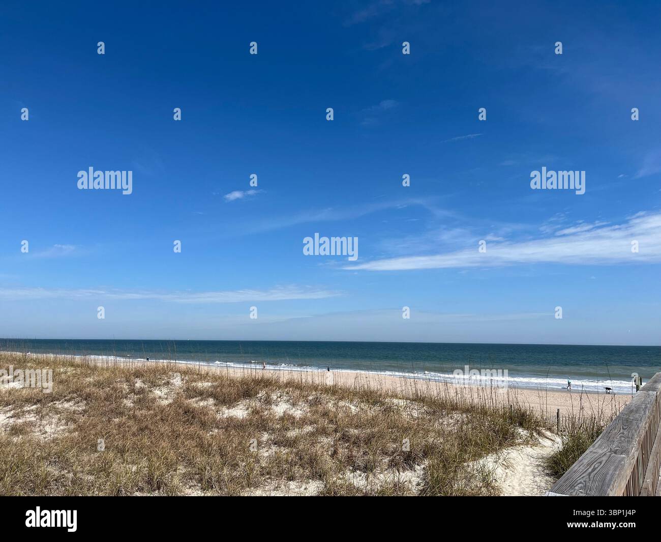 Ruhige Meereslandschaft am Fernandina Beach, Florida | Atlantic Coast Landscape Stockfoto