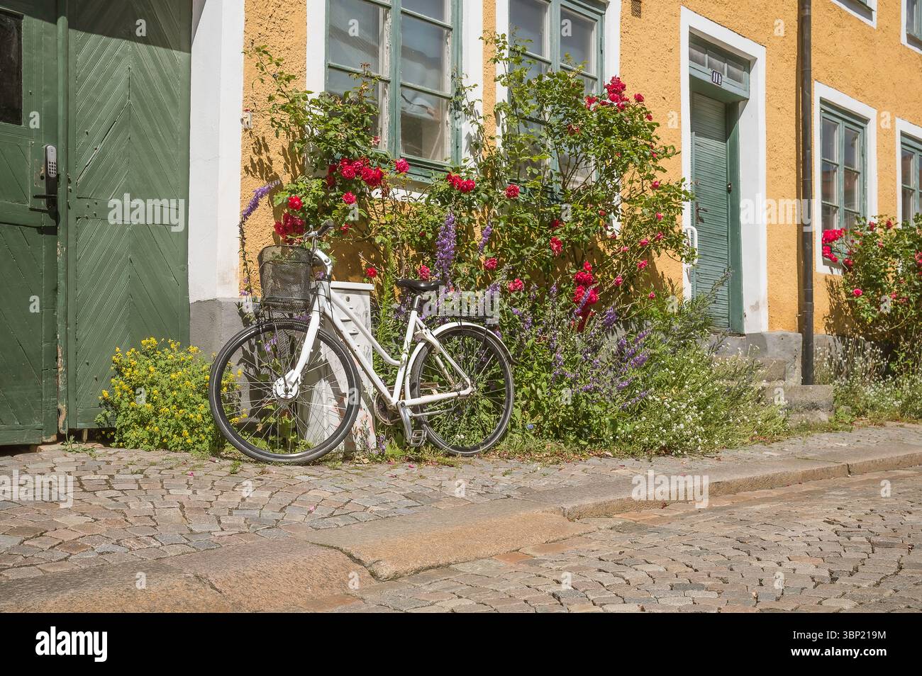 Weißes Fahrrad parkt an einem gelben Haus mit blühenden Blumen auf Kopfsteinpflaster Adelgatan in Lund, Schweden, eine charmante Sommerstraße, 30. Juni 2025 Stockfoto