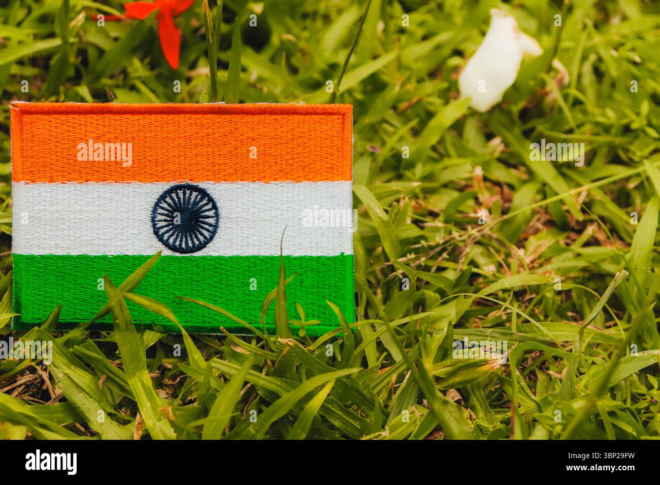 Indische Nationalflagge IN Flagge umweltfreundlich gestickt auf Gras mit roten und weißen Blumenblättern. Konzept für Tag der Erde, Umwelt und Klimawandel. Stockfoto
