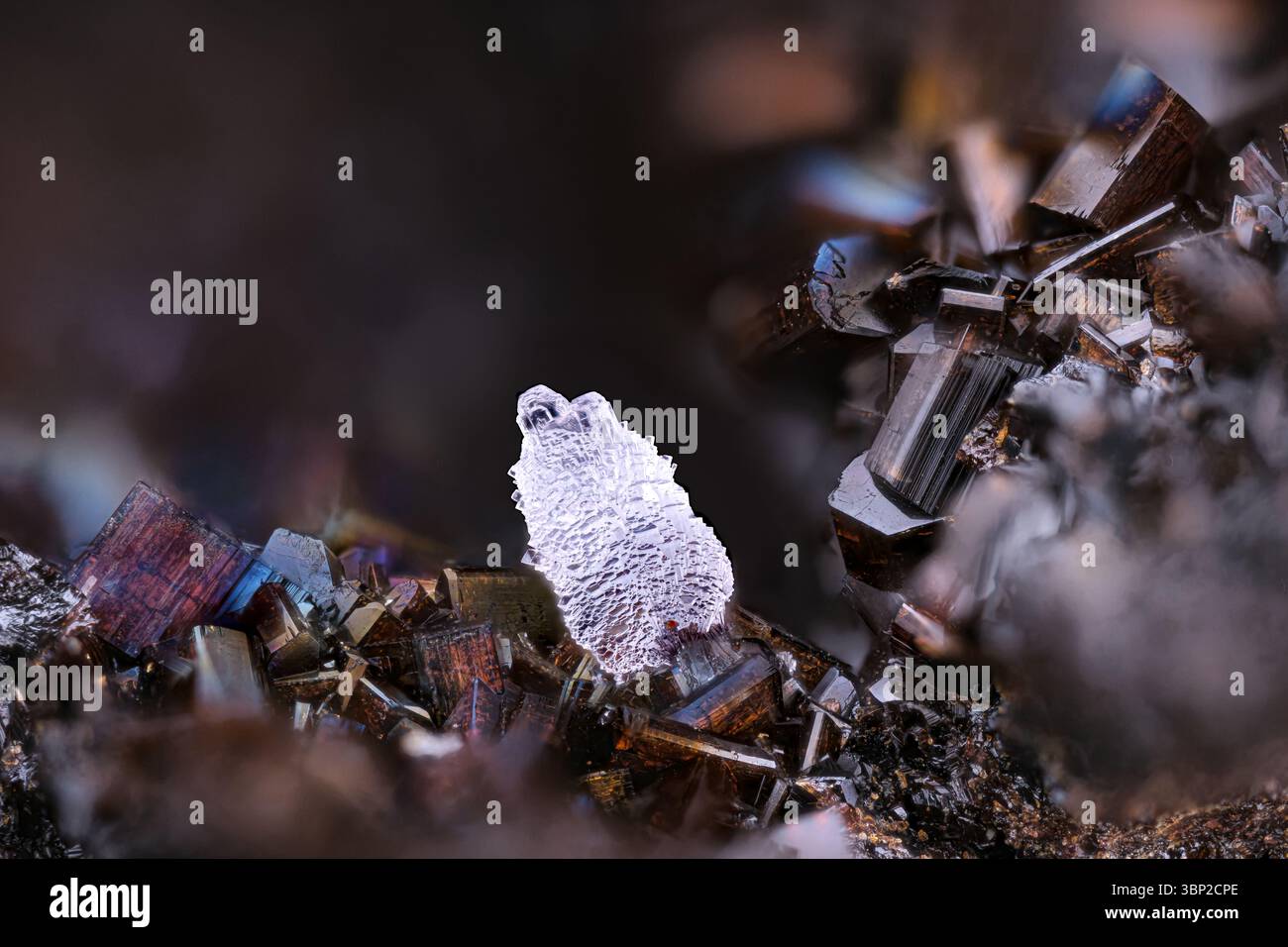 Löschen Sie Wavellite auf Natrodufrenit. Exemplar aus Fragas da Carvalhosa, Felgar, Portugal. Mikrofotografie extreme Nahaufnahme. Mikroskop Mineral Stockfoto