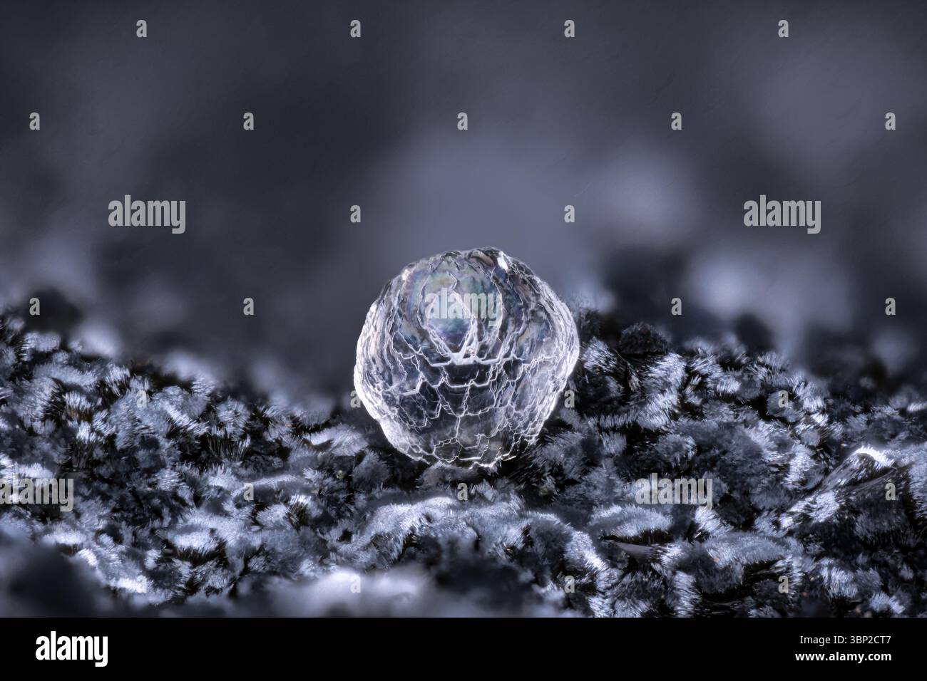 Wavellite auf Kidwellite. Exemplar aus Fragas da Carvalhosa, Felgar, Portugal. Mikrofotografie extreme Nahaufnahme. Mikroskop-Mineralkristall Stockfoto