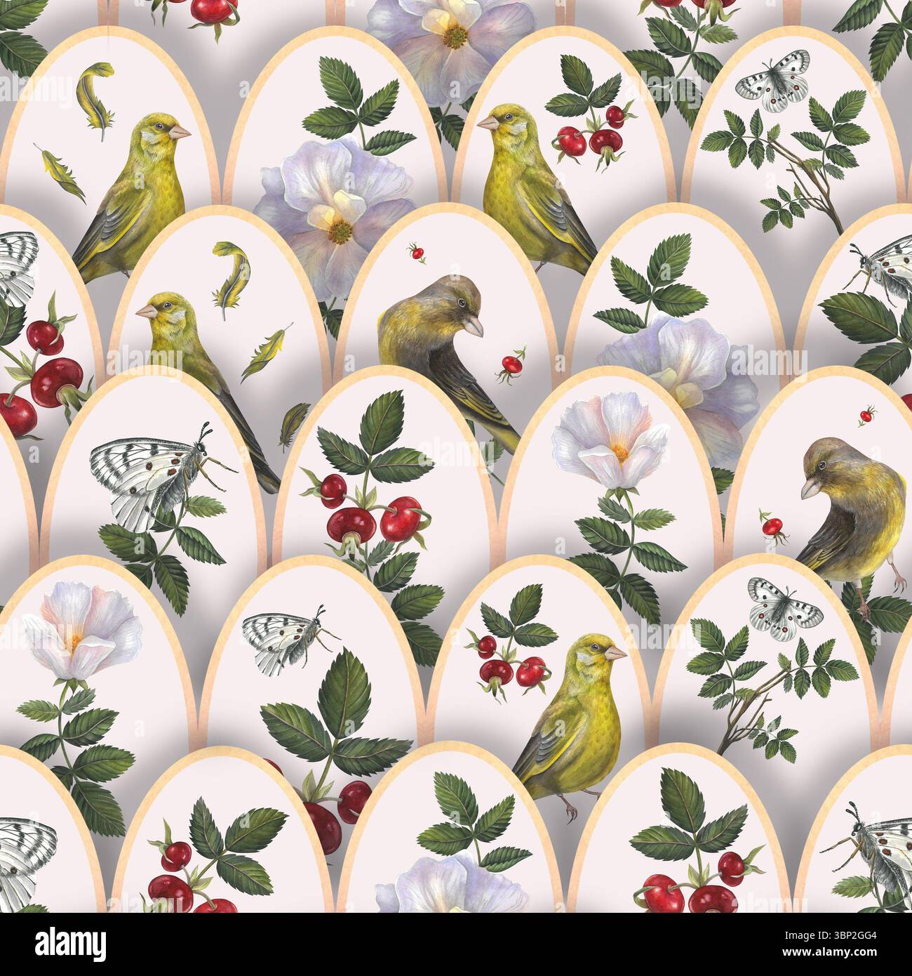 Vintage nahtloses Muster von Rosenhüften, Blättern, Zweigen von Rosenhüften, weißem Apollo-Schmetterling und Grünfinken-Vögeln. Aquarellbilder sind von Hand Stockfoto