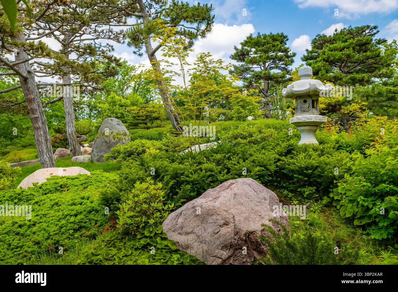 Friedliche japanische Gartenszene mit friedlicher Landschaftsgestaltung und kultureller Schönheit im Como Park Conservatory Stockfoto
