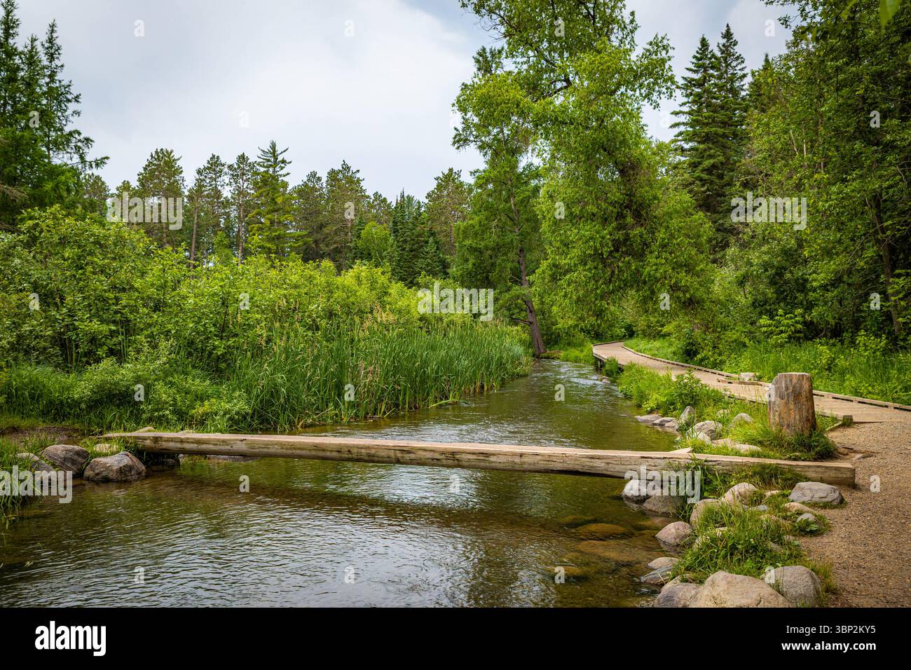 Ein malerischer Blick auf den Mississippi River Headwaters Trail, der sich entlang der Ufer des berühmten Flusses schlängelt. Stockfoto