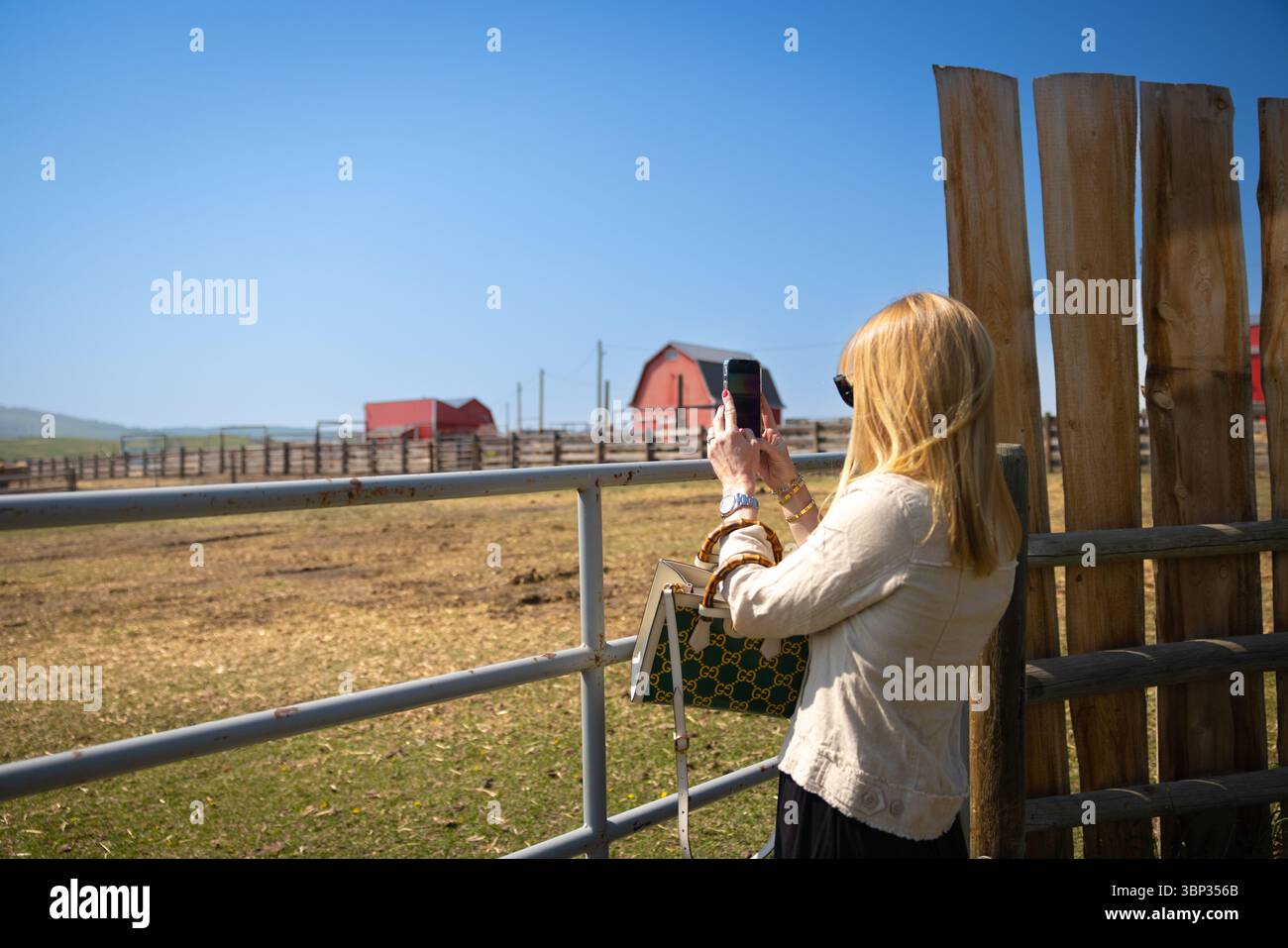 Longview, Alberta - 8. Juni 2025: Ein Besucher, der Fotos auf der Tongue Creek Ranch bei Sonnenuntergang macht Stockfoto