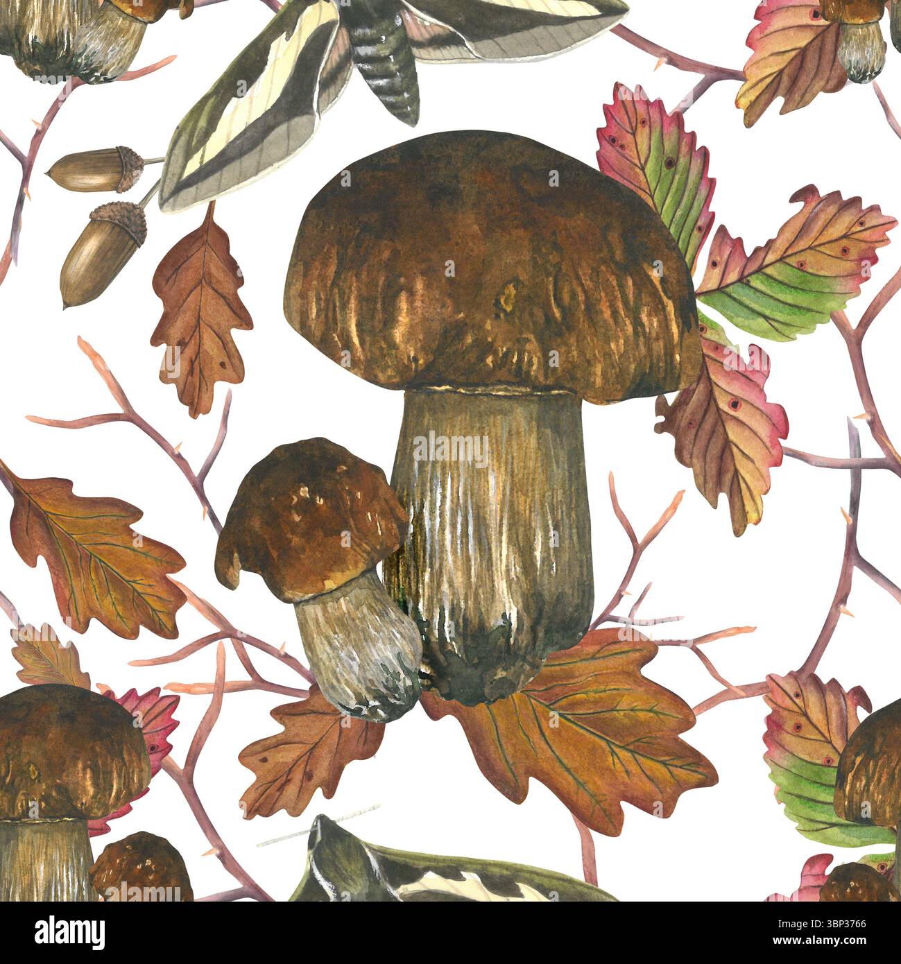 Pilze, herbstliche Eichenblätter, Eicheln, Erdbeerblätter und Motte. Aquarellzusammensetzung nahtloses Muster ist handgezeichnet, isoliert auf einem transparenten Stockfoto