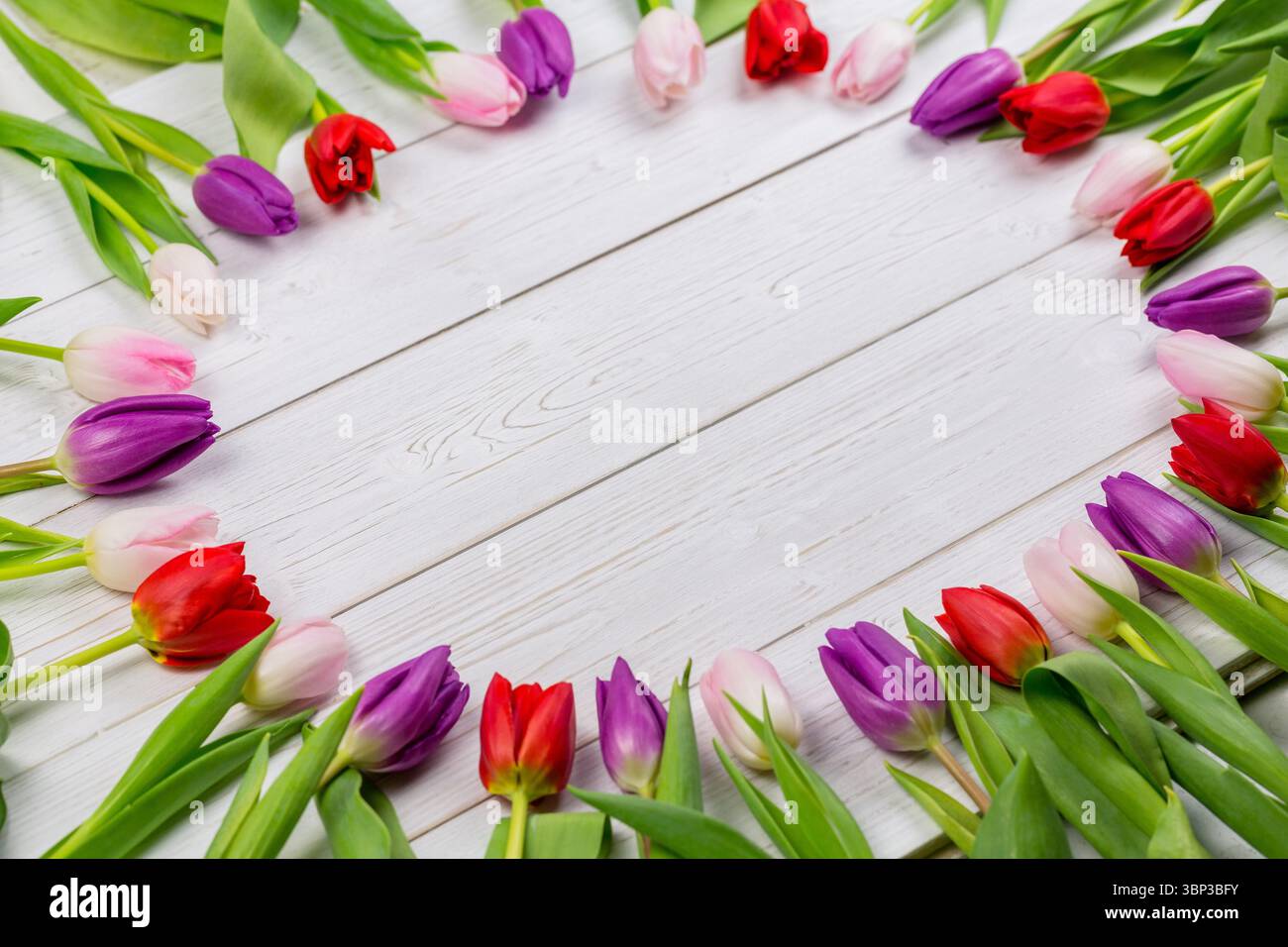 Der ovale, mehrfarbige Tulpenkranz wird in flacher Form auf weißen Holzdielen gezeigt, Kopierraum Stockfoto