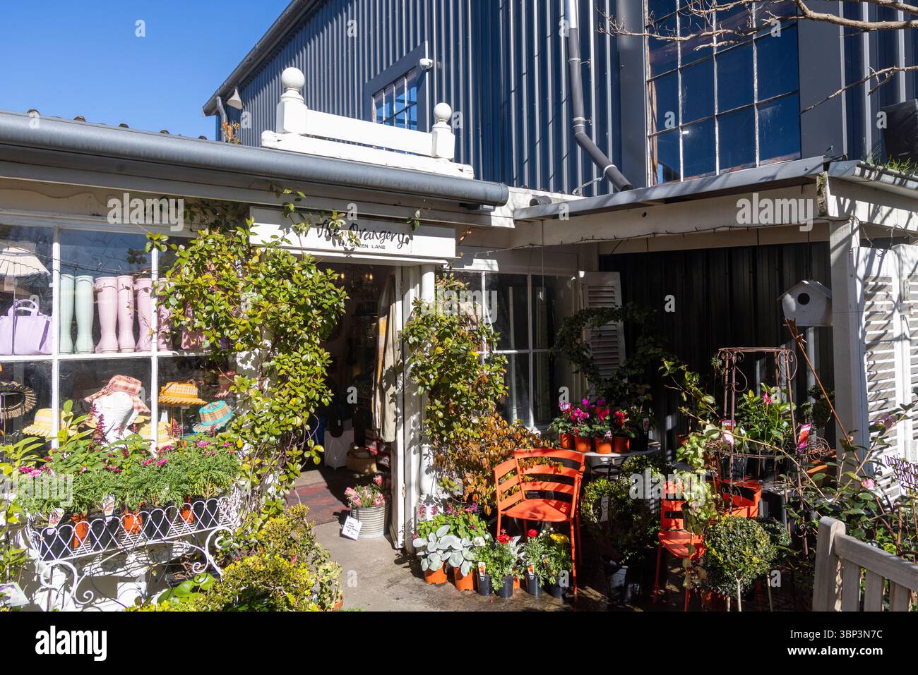 The Orangery Indoor Plant Sales Shop, Green Lane, Bowral Town Centre, NSW, Australien Stockfoto