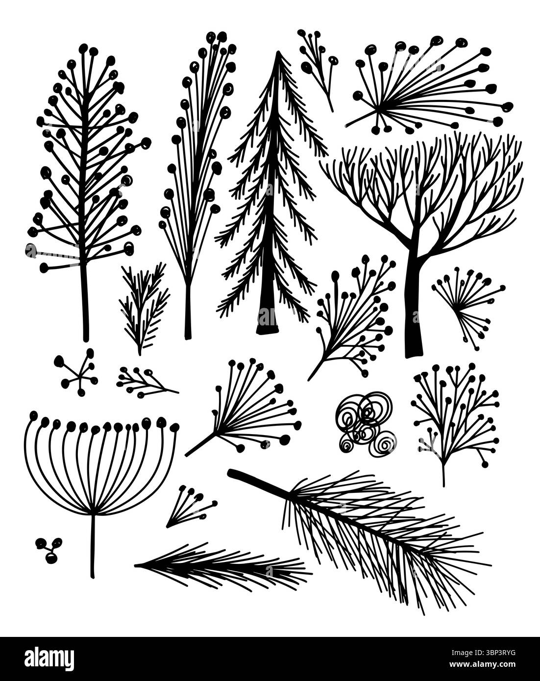 Set von Zweigen handgefertigte monochrome. Handzeichnung. Nicht AI. Vektorabbildung Stock Vektor