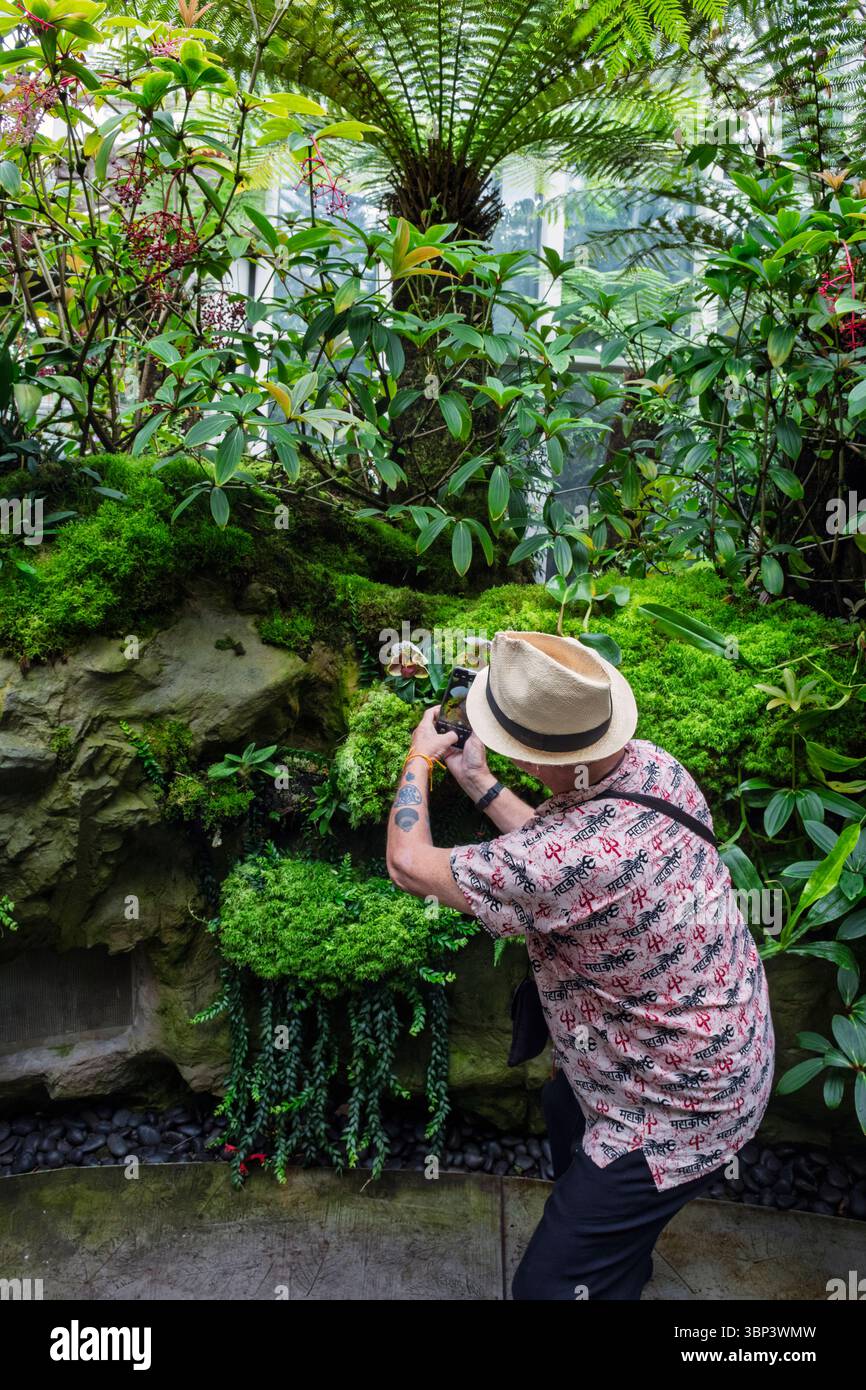 Ein Tourist, der eine Blume im Orchideengarten im Botanischen Garten von Singapur fotografiert Stockfoto