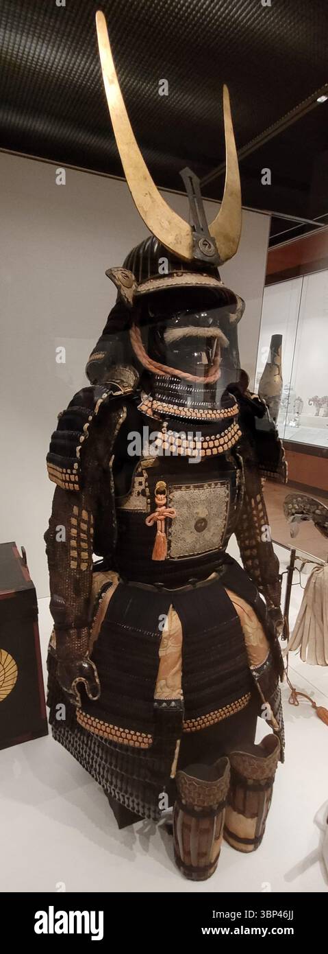 Ein abendfüllendes Foto eines japanischen Samurai-Rüstungsanzugs aus dem 18. Jahrhundert, der zur Familie Mori im Westen Japans gehört, aus Metall, Lack, Leder, Hanffasern, Horn, Holz und Gold. mit großen goldenen Halbmondhörnern und komplizierten Details, ausgestellt in einem Museum. Während der langen Friedenszeit unter dem Tokugawa-Shogunat (Edo-Zeit) verlagerte sich die Funktion der Samurai-Rüstung. Obwohl sie noch in der Lage waren, Schutz zu bieten, wurde der Schwerpunkt zunehmend auf künstlerischem Handwerk, Familienwappen und ausgeklügelten Entwürfen gelegt, die Reichtum und Status zum Ausdruck brachten. Solche Rüstungsstücke werden oft ausgestellt Stockfoto