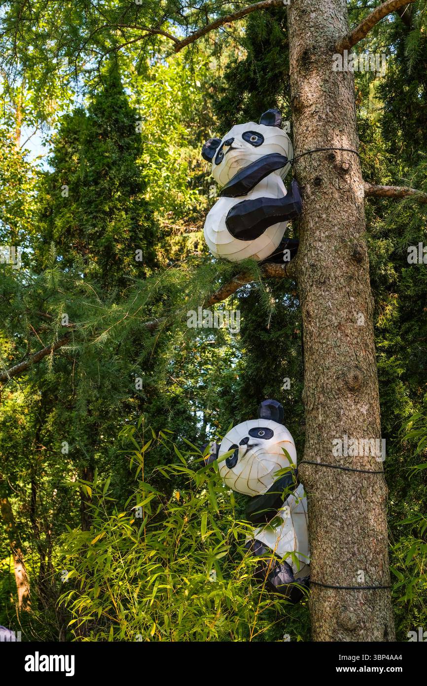 Zwei niedliche Pandabär-Kunstinstallationen hängen an einem Sommertag im Chinesischen Garten des Montreal Botanical Garden am Stammbaum Stockfoto