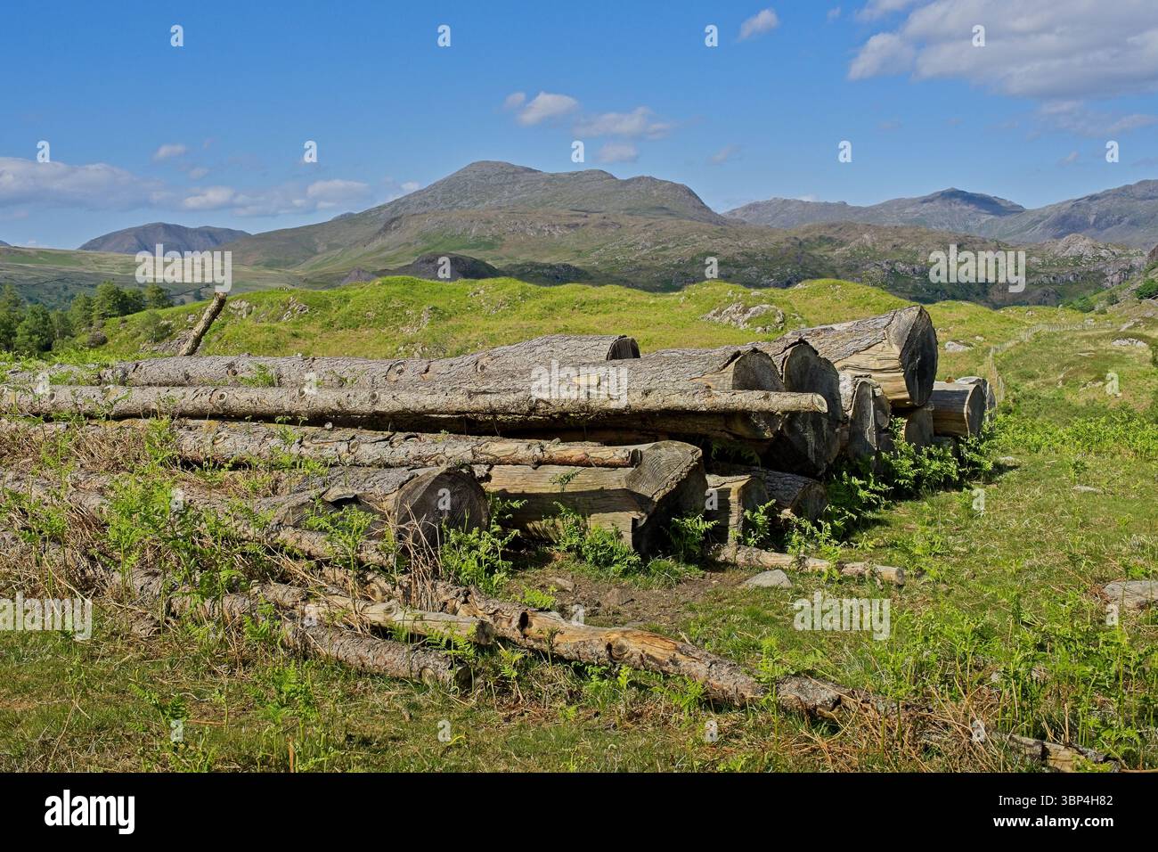 Spaziergang durch Great Crag - Ulpha Fell to Devoke Water in Eskdale, Cumbria Stockfoto