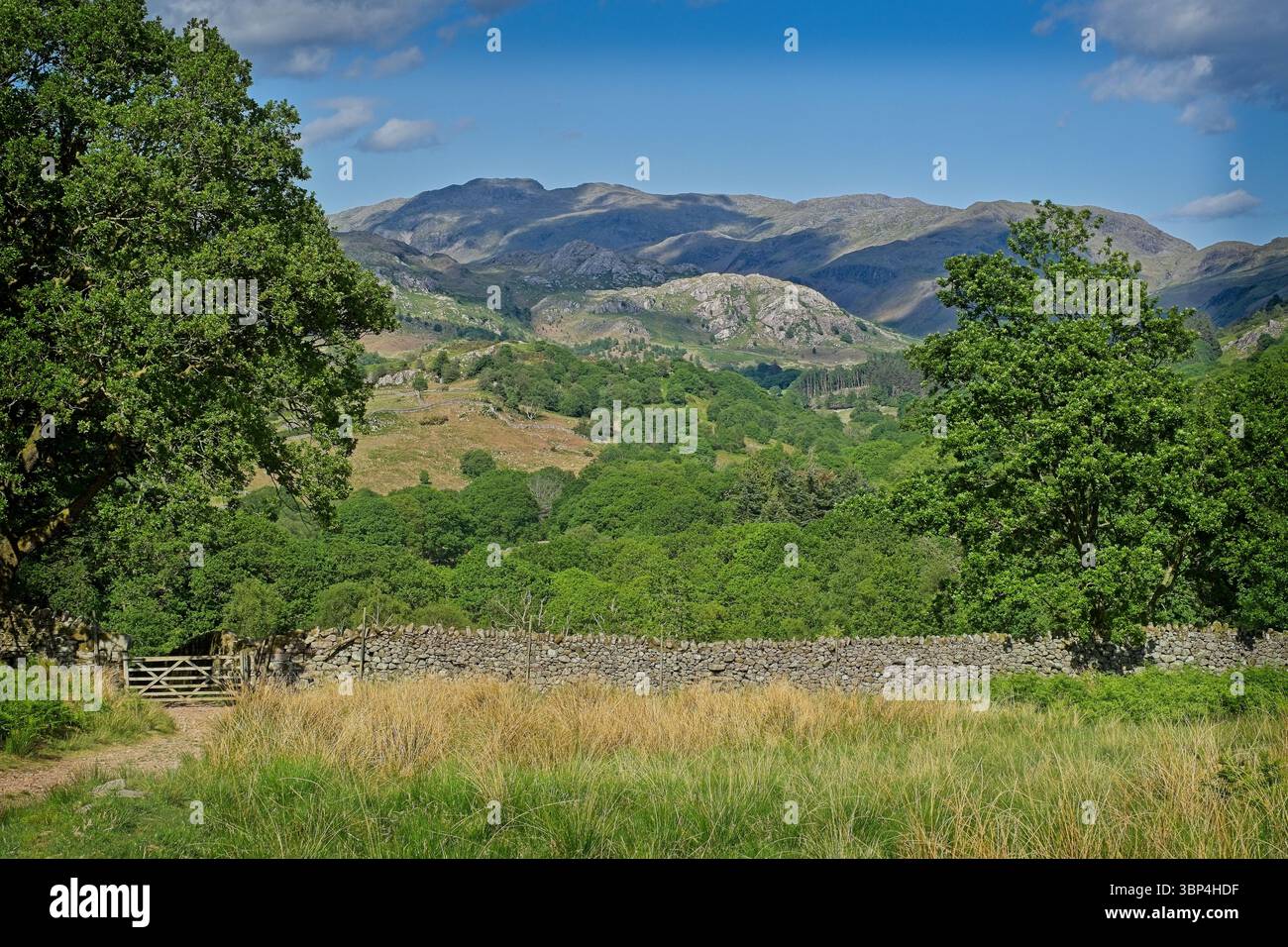 Spaziergang durch Great Crag - Ulpha Fell to Devoke Water in Eskdale, Cumbria Stockfoto