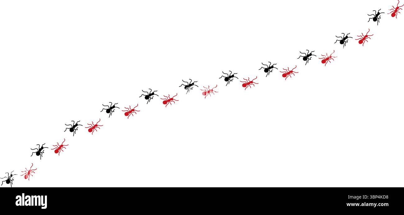 Silhouetten von Ameisen, die in ordentlichen Linien marschieren, Teamwork und Organisation zeigen, Ant Trail Illustration - Black Line ANTS Design Stock Vektor
