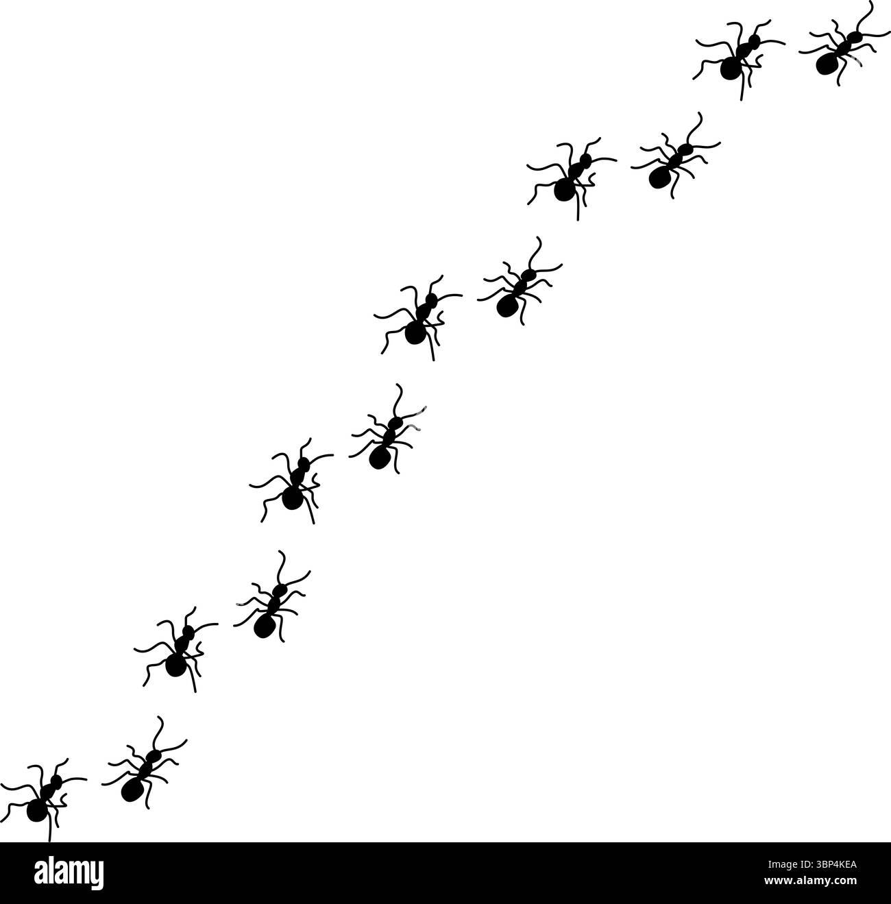 Silhouetten von Ameisen, die in ordentlichen Linien marschieren, Teamwork und Organisation zeigen, Ant Trail Illustration - Black Line ANTS Design Stock Vektor