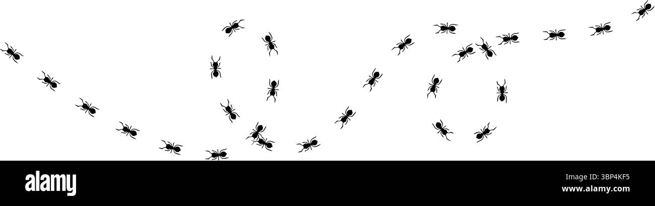 Silhouetten von Ameisen, die in ordentlichen Linien marschieren, Teamwork und Organisation zeigen, Ant Trail Illustration - Black Line ANTS Design Stock Vektor