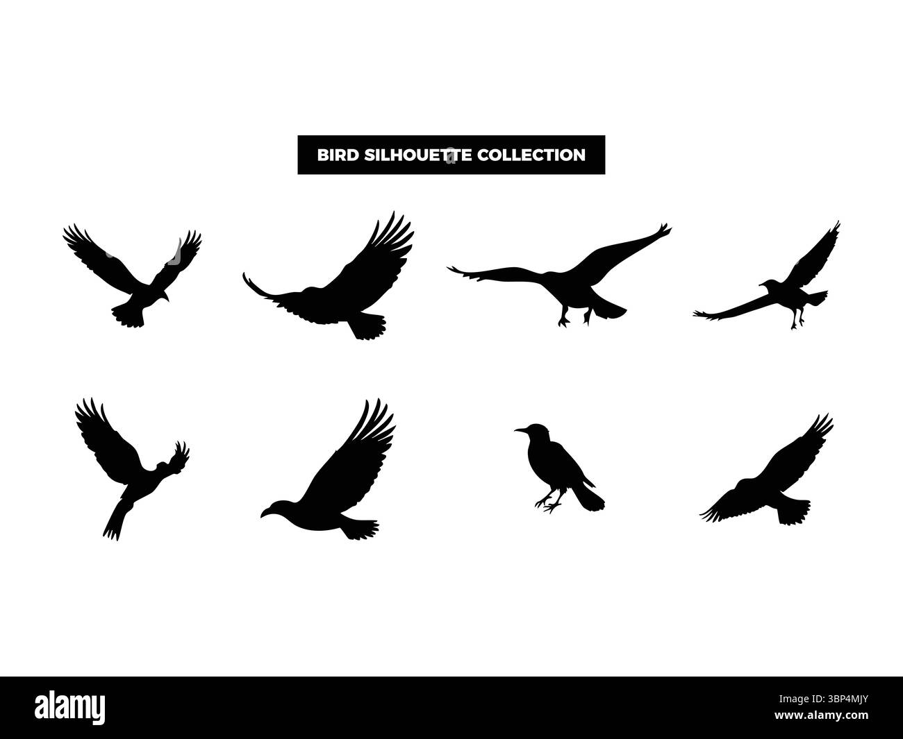 Hochwertige Vektor-Vogel-Silhouetten in verschiedenen Posen, fliegen, ruhen und hocken. Ideal für Logos, T-Shirts, Poster und Design-Projekte mit Naturmotiven Stock Vektor