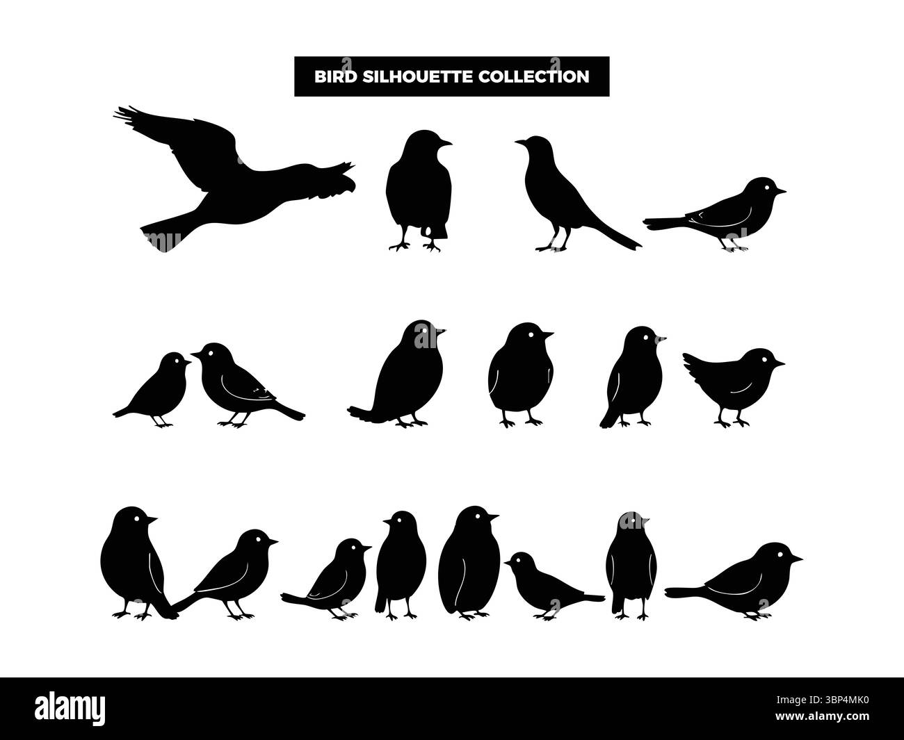 Hochwertige Vektor-Vogel-Silhouetten in verschiedenen Posen, fliegen, ruhen und hocken. Ideal für Logos, T-Shirts, Poster und Design-Projekte mit Naturmotiven Stock Vektor
