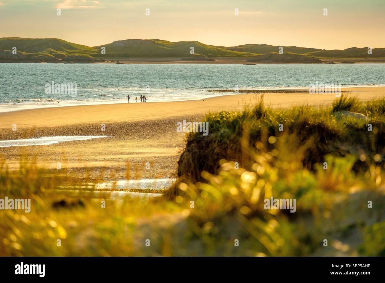 Menschen, die am Strand und an den Sanddünen in Newborough an der Küste von Anglesey in Wales spazieren gehen Stockfoto
