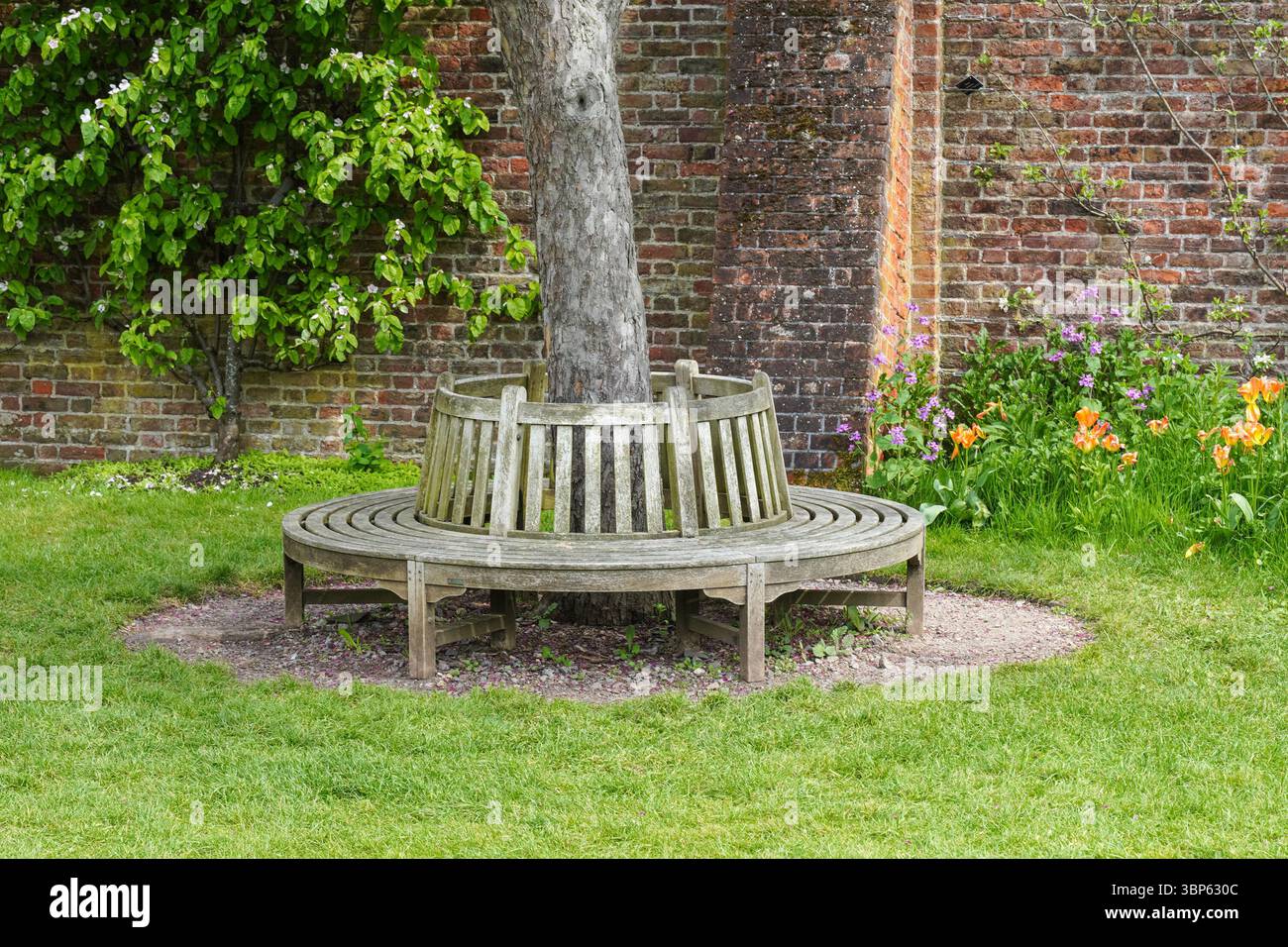 Kreisförmige Holzbank in den Gärten des Hampton Court Palace, Richmond upon Thames, London, England Großbritannien Stockfoto