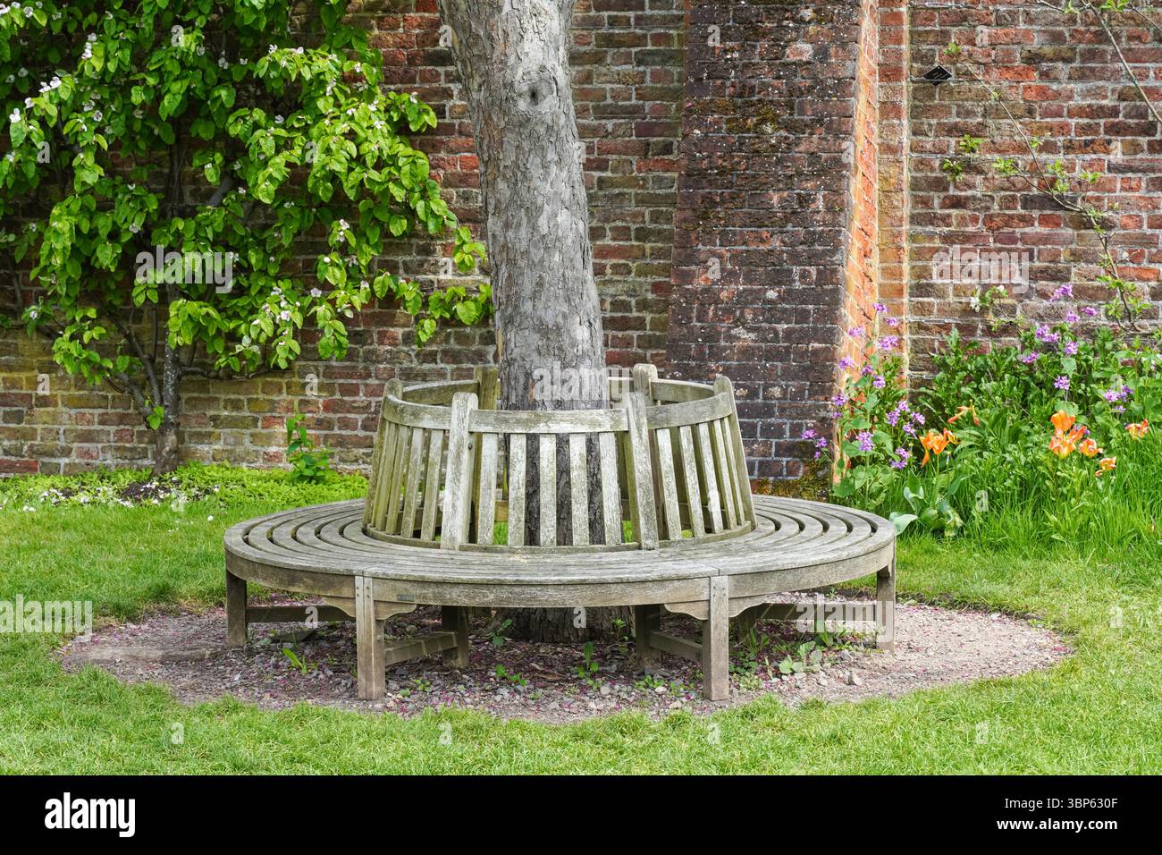 Kreisförmige Holzbank in den Gärten des Hampton Court Palace, Richmond upon Thames, London, England Großbritannien Stockfoto