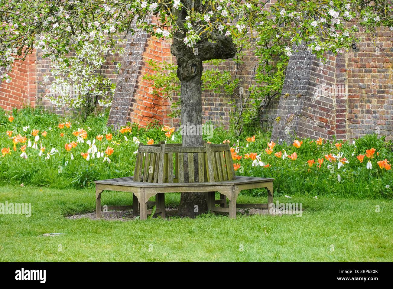 Kreisförmige Holzbank in den Gärten des Hampton Court Palace, Richmond upon Thames, London, England Großbritannien Stockfoto