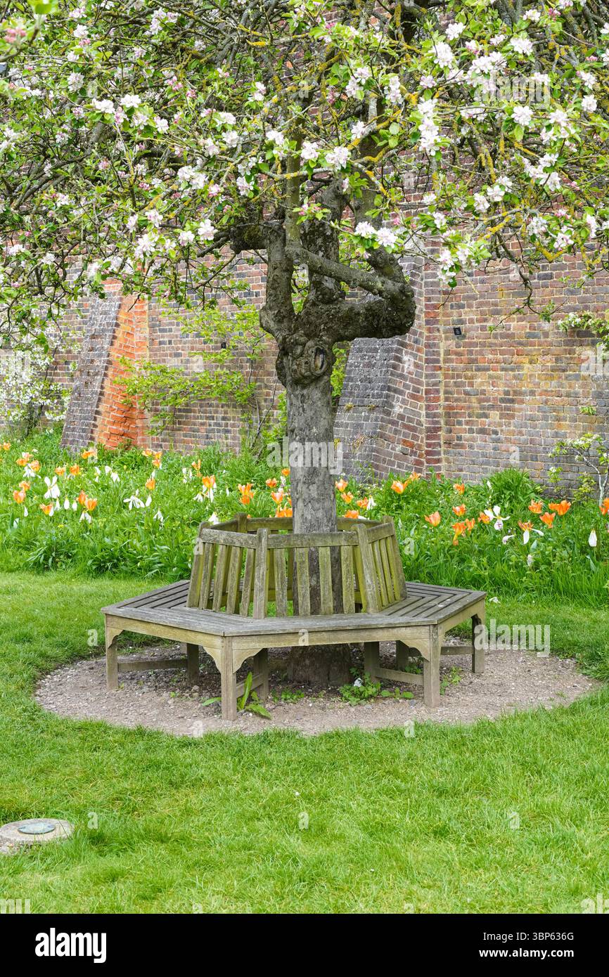 Kreisförmige Holzbank in den Gärten des Hampton Court Palace, Richmond upon Thames, London, England Großbritannien Stockfoto