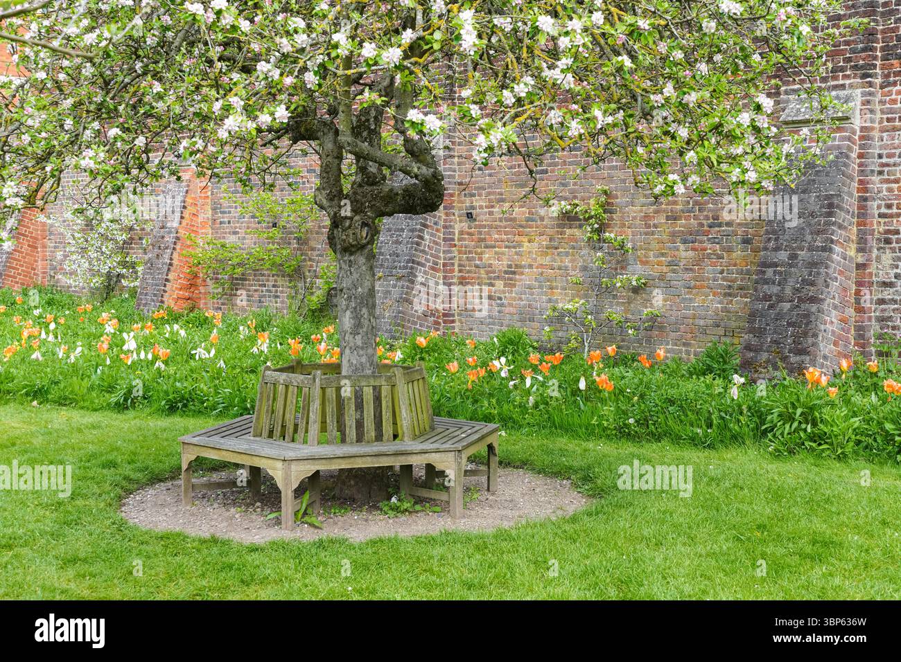 Kreisförmige Holzbank in den Gärten des Hampton Court Palace, Richmond upon Thames, London, England Großbritannien Stockfoto