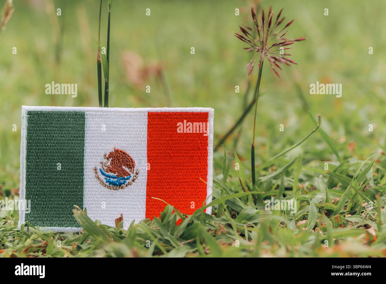 Mexikanische Flagge umweltfreundlich gestickte MEX-Flagge auf grünem Gras mit winzigen Blumen. Erdtag und natürliches ruhiges Konzept. Platz für Text rechts. Stockfoto