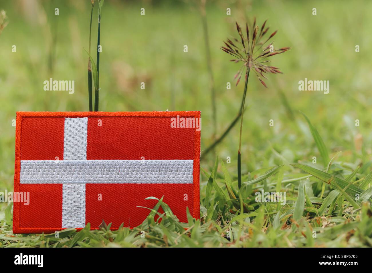 Umweltfreundliche, gestickte dänische Flagge auf grünem Gras mit Wildblumen. Tag der Erde, Konzept des Klimawandels. Platz für Entwurfstext rechts. Stockfoto