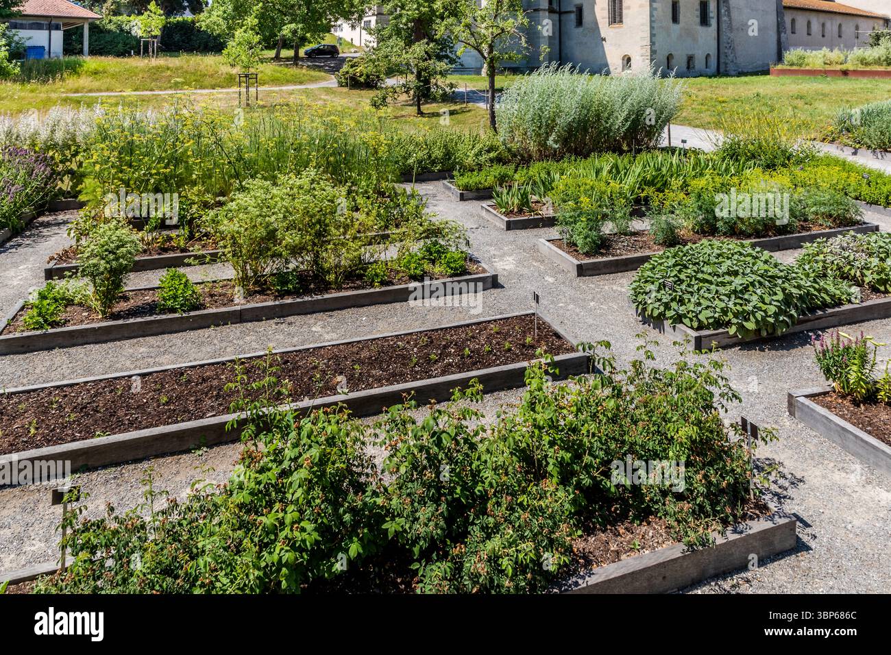 Eine Nachbildung des Klostergartens nach dem Entwurf von Walahfrid Strabo zeigt 24 Kräuter, Gemüsesorten und Zierpflanzen in angelegten Beeten in der Abtei Reichenau in Mittelzell. Als eines der frühesten botanischen Werke Europas macht der „Hortulus“ die Insel Reichenau zur Wiege der klösterlichen Gartenkultur innerhalb des UNESCO-Weltkulturerbes. Die Abtei wurde 724 gegründet. Hermannus-Contractus-Straße, Reichenau, Baden-Württemberg, Deutschland. Stockfoto