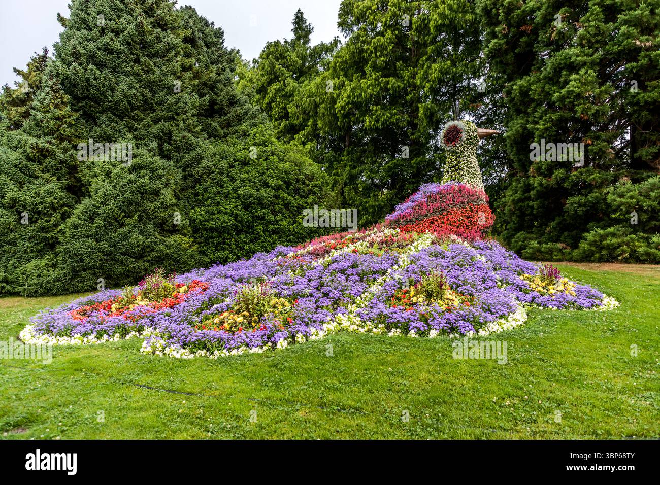 Ein prächtiger Blumenpfau, kunstvoll aus Tausenden von Blüten geschaffen, ziert die Gärten der Insel Mainau bei Konstanz. Diese beeindruckende Blumenskulptur ist eine der Hauptattraktionen und zieht zahlreiche Besucher an. Konstanz, Baden-Württemberg, Deutschland Stockfoto