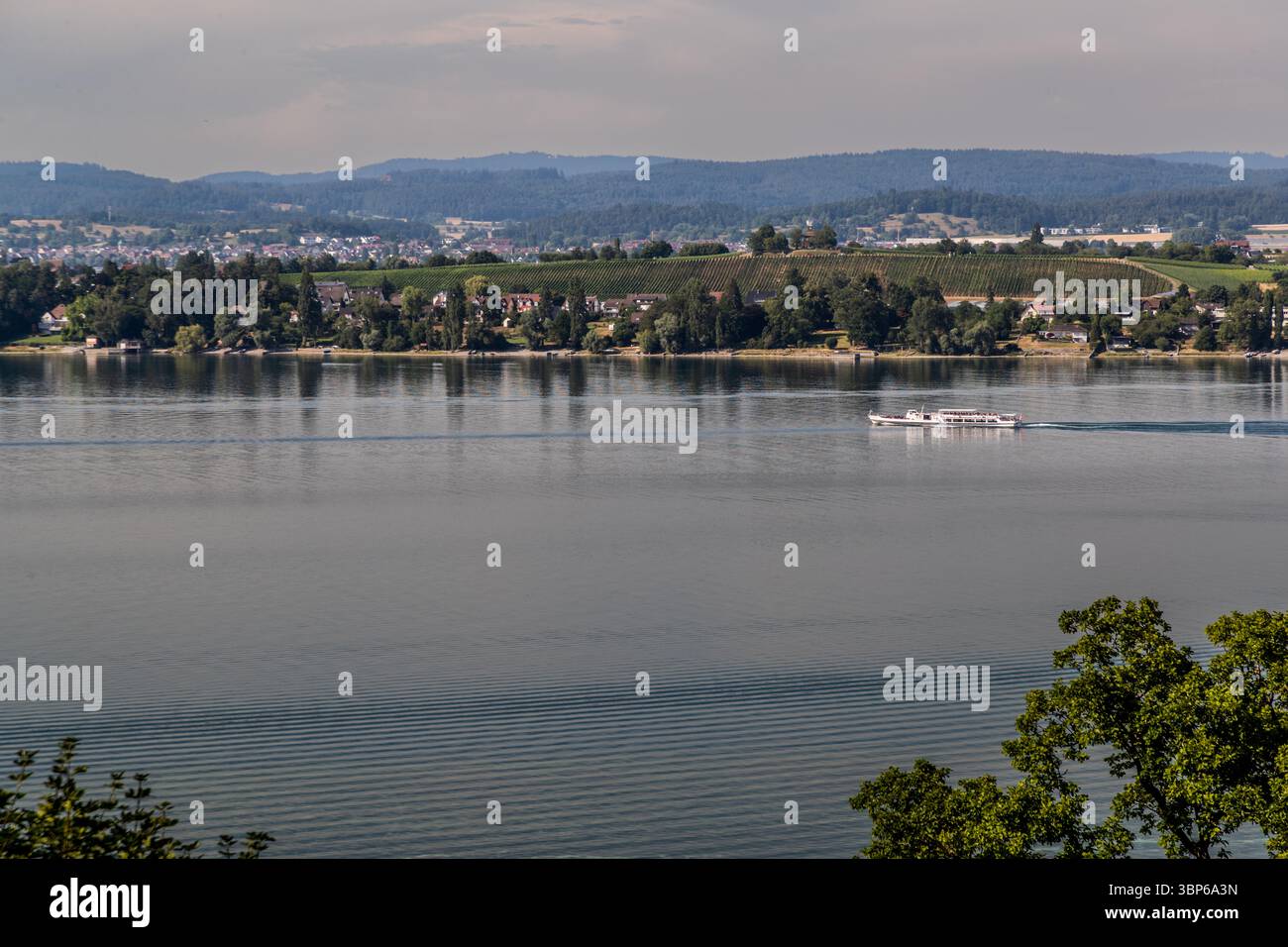 Ein Passagierschiff überquert den Bodensee vor der malerischen Kulisse der Insel Reichenau, deren Ufer mit Häusern und Weinbergen gesäumt sind. Der Blick führt vom Schlossgarten Arenenberg bei Salenstein, Thurgau, Schweiz. Stockfoto