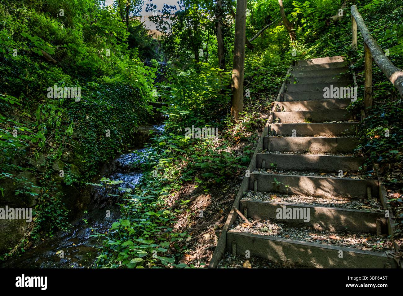 Ein steiler Waldweg mit Treppen und einem kleinen Bach in Salenstein, Thurgau, Schweiz. Ursprünglich von Louis Napoleon als künstliche „Schlucht“ geschaffen, diente die Landschaft ursprünglich als Schauplatz für Naturdramen. Heute lädt die Szene, beleuchtet von Sonnenlicht, das durch die Blätter filtert, zum Wandern und Entspannen in der Natur ein Stockfoto