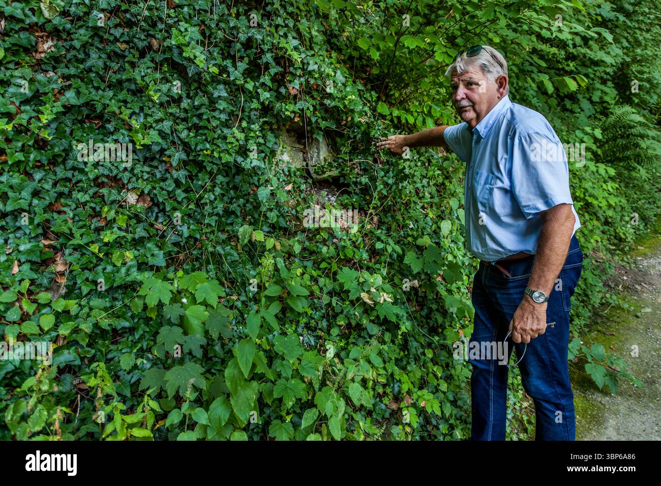 Dminik Gügel weist auf eine mit Efeu bewachsene Mauer auf dem Arenenberg in Salenstein, Thurgau, Schweiz. Er weist auf eine Besonderheit unter der Vegetation hin, die noch nicht entdeckt werden muss. Seeweg, Salenstein, Thurgau, Schweiz Stockfoto