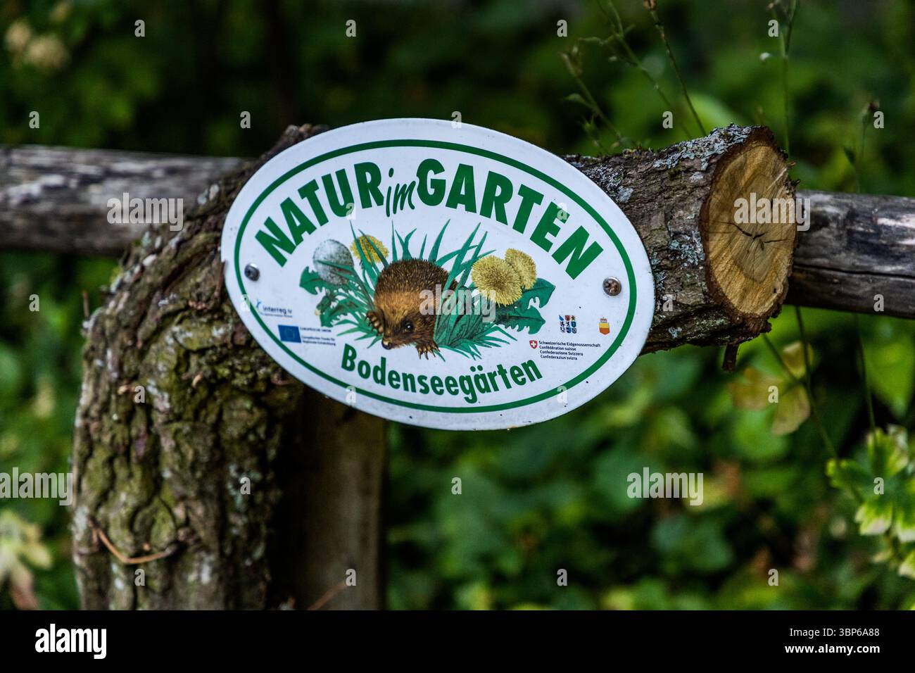 Ein Schild mit der Inschrift „Natur im Garten Bodenseegärten“ ist an einem Holzpfosten in Arenenberg, Salenstein, Thurgau, Schweiz angebracht. Sie zeigt einen Igel umgeben von Löwenzahn und symbolisiert die Förderung naturnaher Gärten und Biodiversität im Bodenseeraum. Das Schild kennzeichnet Gärten, die sich der ökologischen Pflege verschrieben haben Stockfoto
