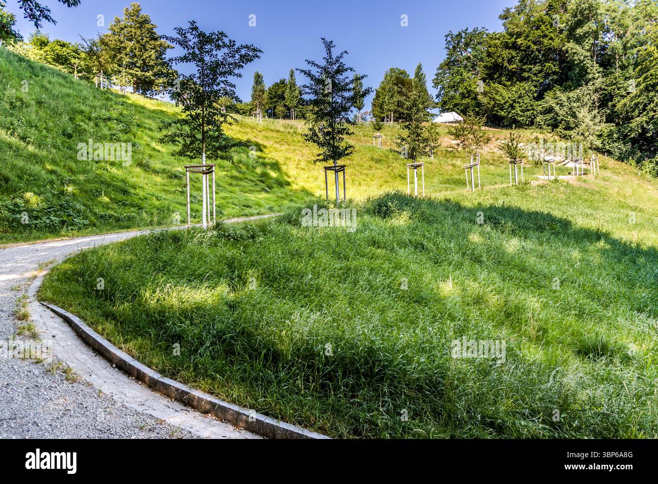 Die „Serpentine“ am sonnigen Grashang des Arenenbergs, mit jungen Obstbäumen und einem geschwungenen Schotterweg in Arenenberg, Salenstein, Thurgau, Schweiz. Pappeln wuchsen hier ursprünglich Stockfoto
