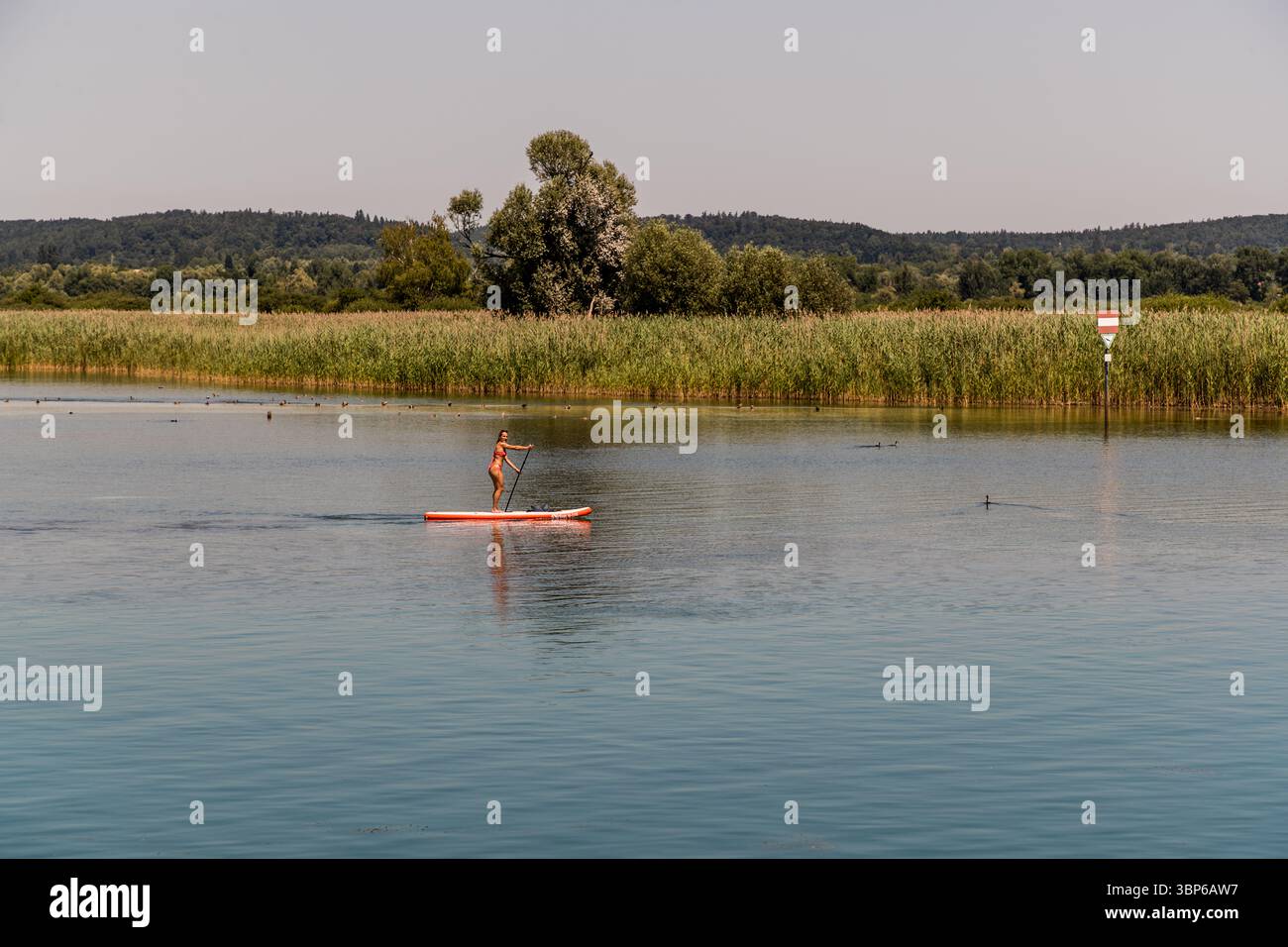 Eine Person paddelt stehend auf einem Brett über den als Seerhein bekannten Teil des Bodensees. Ländlistrasse, Konstanz, Baden-Württemberg, Deutschland Stockfoto