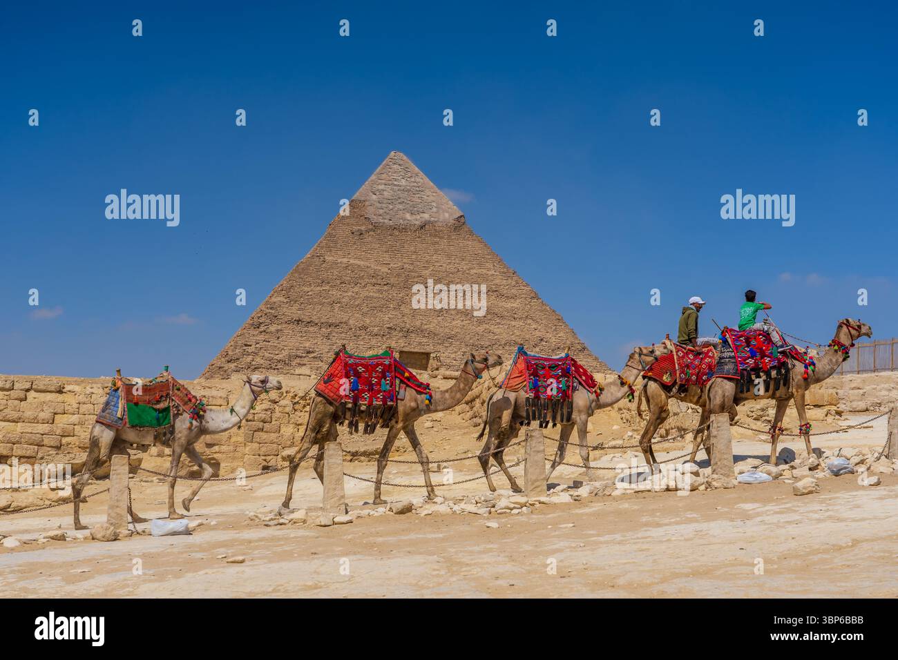 Kamelkarawane vor der Pyramide von hafre Stockfoto