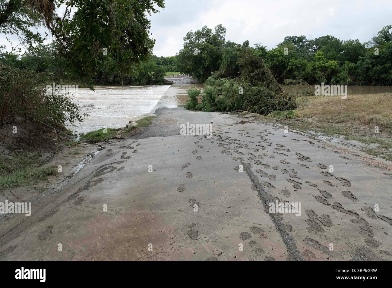 6. Juli 2025: In Georgetown werden die Folgen des rasenden Hochwassers im San Gabriel River durch heruntergefallene Bäume deutlich. Georgetown, Texas. Mario Cantu/CSM Stockfoto