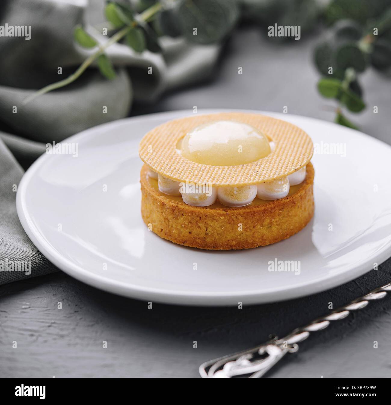 Essen, wunderschön überzogenes Gourmet-Dessert mit einer glitzernden Gelee-Platte, bereit zum Servieren Stockfoto Essen, wunderschön überzogenes Gourmet-Dessert mit einer glitzernden Gelee-Platte, bereit zum Servieren Stockfoto