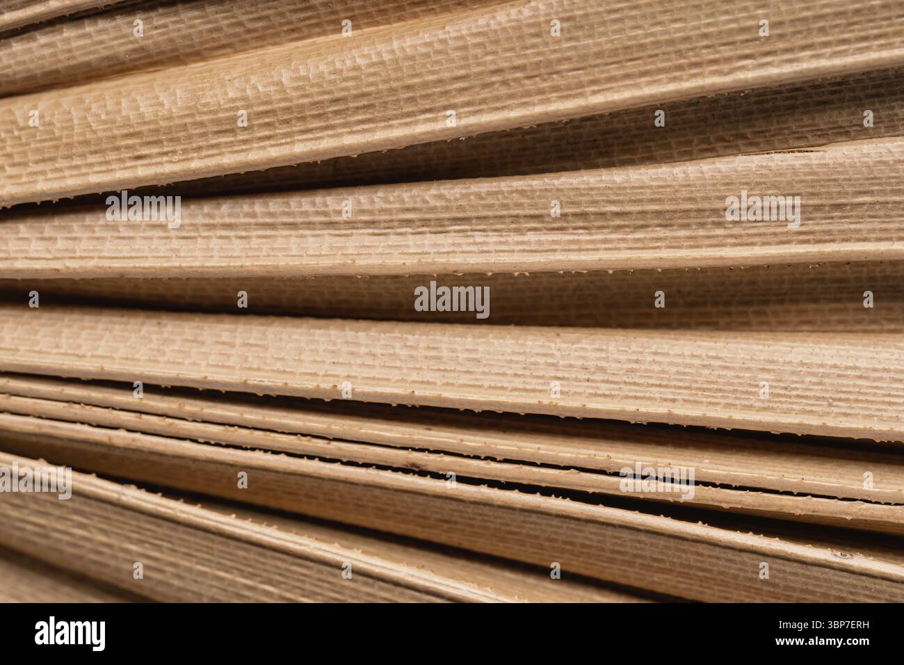 Trockene Handfläche hinterlässt Hintergrundstruktur. Nahaufnahme eines Makros getrockneter, fächerförmiger tropischer Palmenblätter. Natürlicher Hintergrund Stockfoto