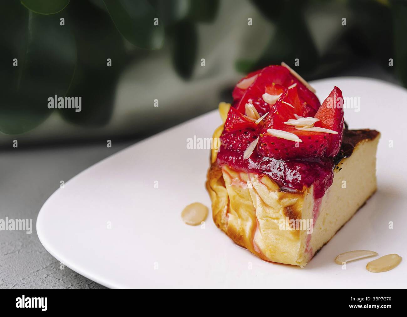 Essen, köstliche Scheibe Käsekuchen mit frischen Beeren und Sirup, fertig zum Genießen Stockfoto