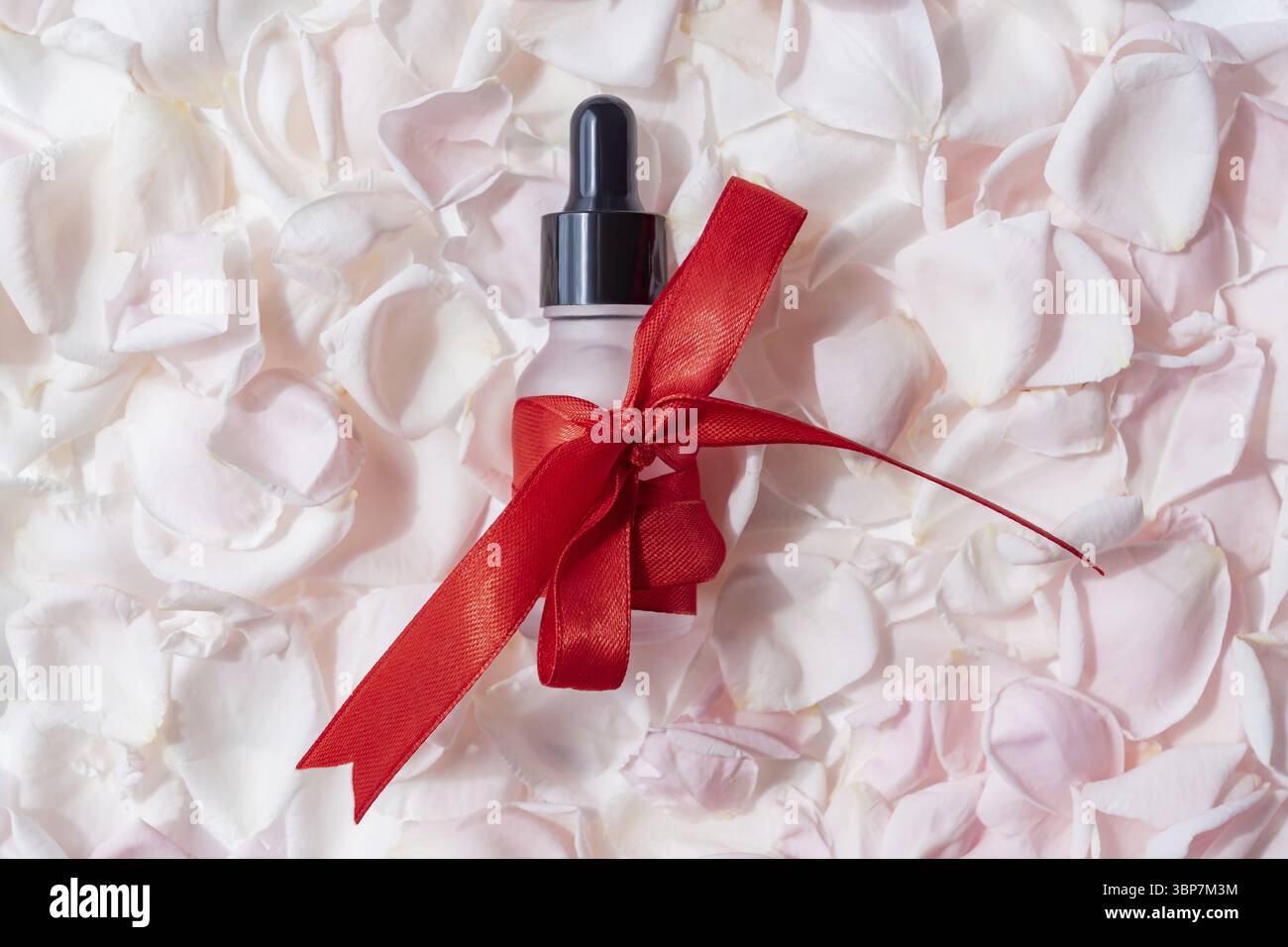 Hautpflege natürliches ätherisches Rosenöl Produkt. Rosafarbene Rosenblüten und Glaskosmetikflasche mit Tropfer für feuchtigkeitsspendende Anti-Aging-Produkte im Serum Stockfoto